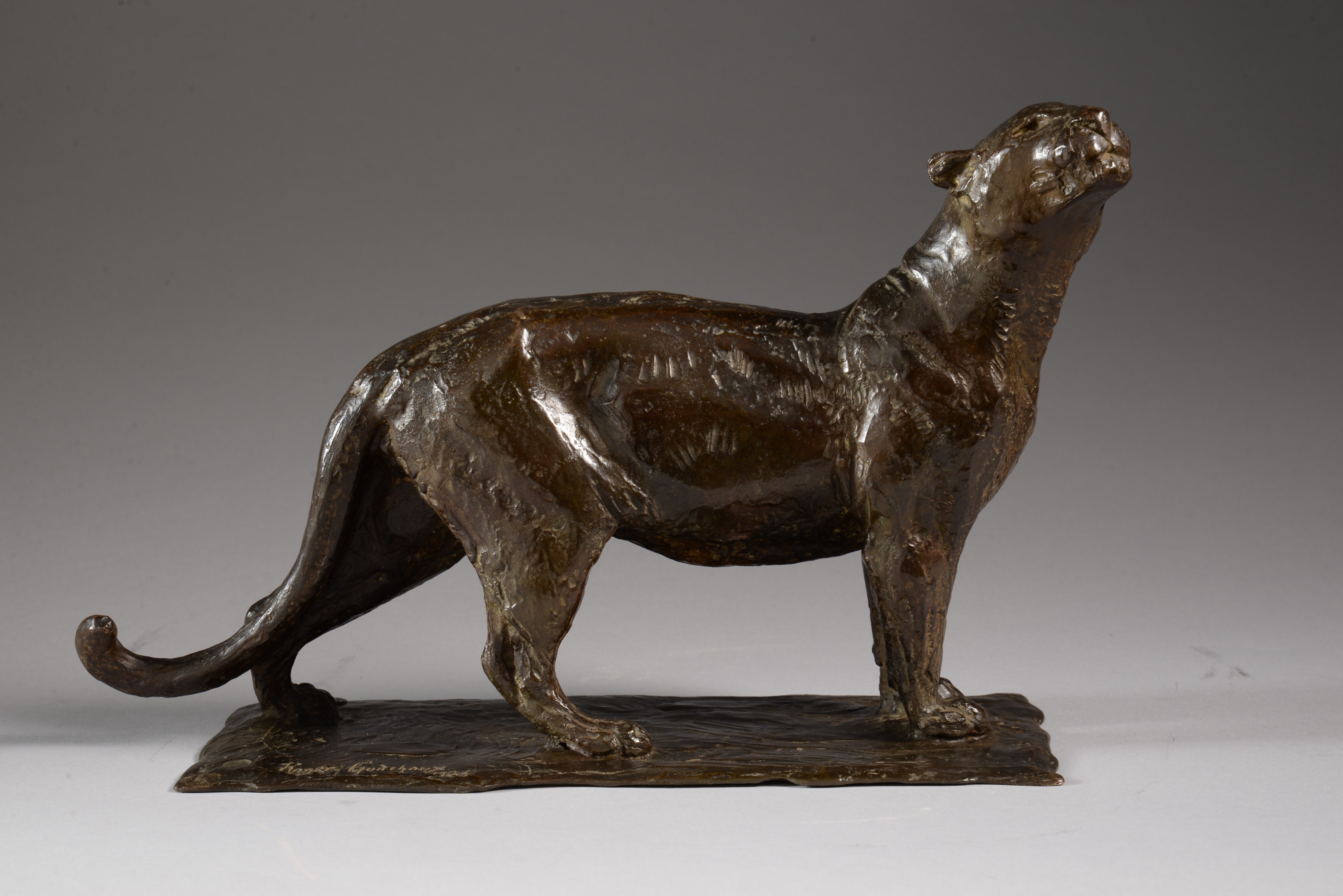 LIONNE TÊTE LEVÉE (1925)

